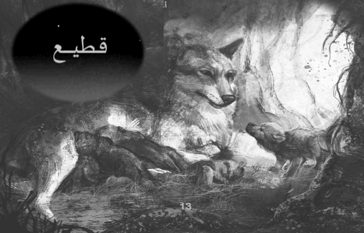 حل الفصل الثامن درس لقاء من رواية ذئب اسمه طواف لغة عربية صف ثامن